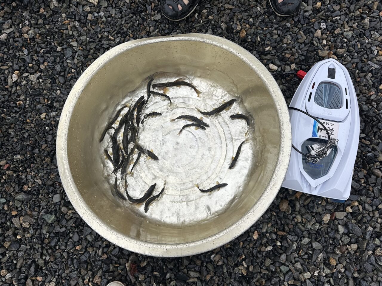 9/21 本日の釣果